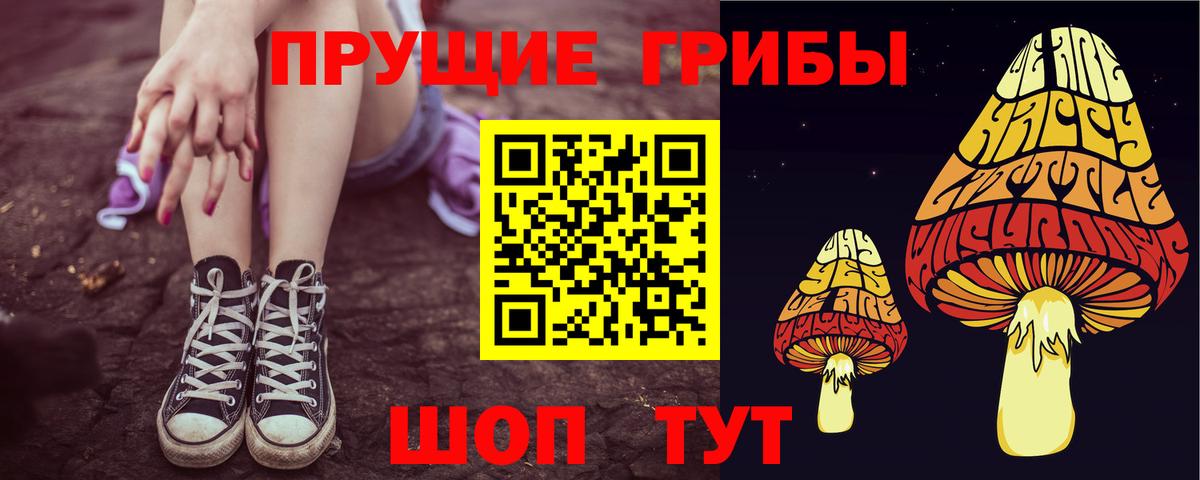 Псилоцибиновые грибы GOLDEN TEACHER  Галлюциногенные грибы прущие грибы  Вход с VPN  Каменка 
